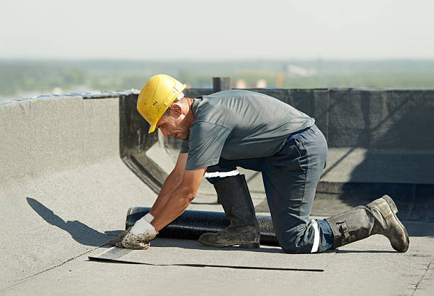 Best Insulation Repair Services  in Versailles, KY